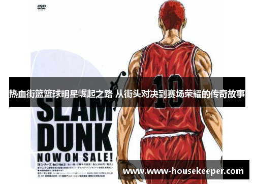 热血街篮篮球明星崛起之路 从街头对决到赛场荣耀的传奇故事