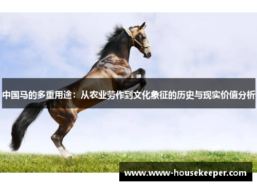 中国马的多重用途：从农业劳作到文化象征的历史与现实价值分析