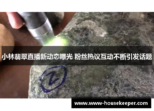 小林翡翠直播新动态曝光 粉丝热议互动不断引发话题