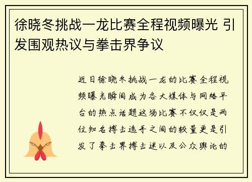 徐晓冬挑战一龙比赛全程视频曝光 引发围观热议与拳击界争议